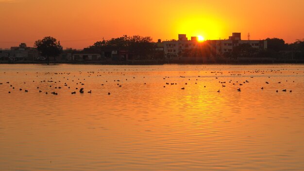Foto puesta de sol sobre los pájaros del lago indio nadando en el agua