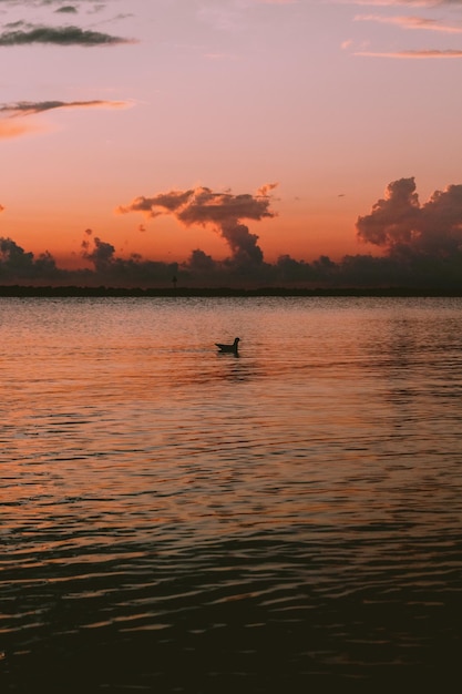 puesta de sol sobre el río