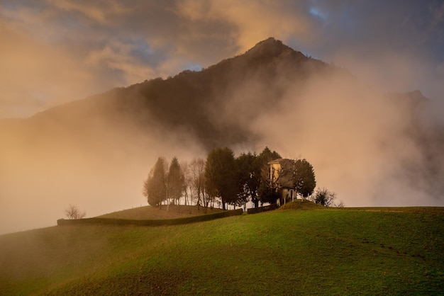 Puesto de caza en la niebla