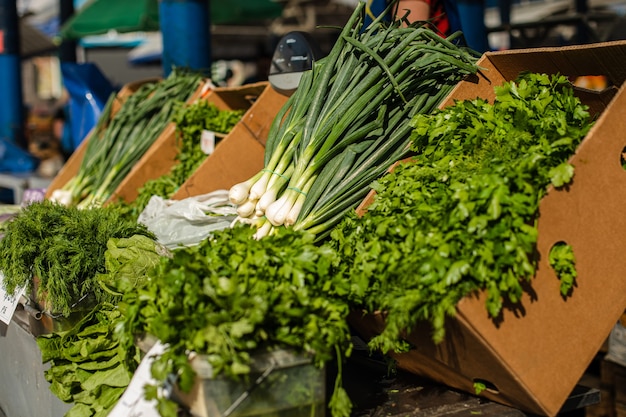 Puesto con cebolleta fresca y orgánica, racimos de perejil y eneldo a la luz del sol del mercado al aire libre.