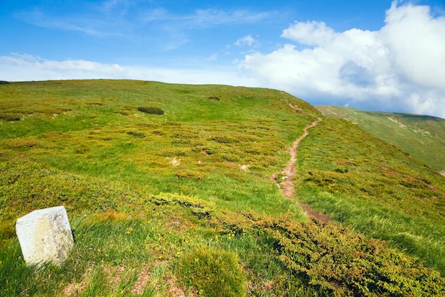 Puesto pedregoso en la cresta de la montaña de verano (Ucrania, Cárpatos)