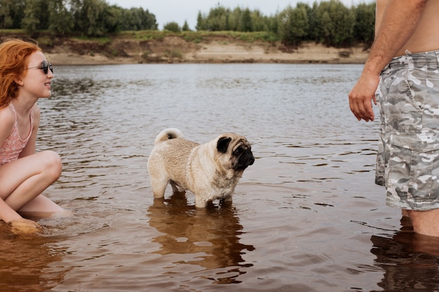 Pug idoso tomando banho no rio