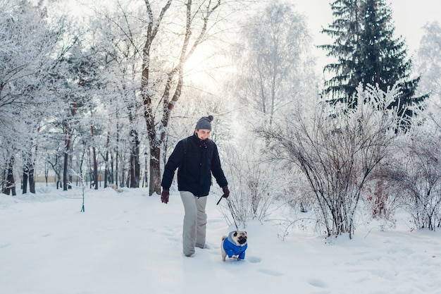 Pughund, der auf Schnee mit Mann im Park geht. Tragender Wintermantel des Welpen draußen