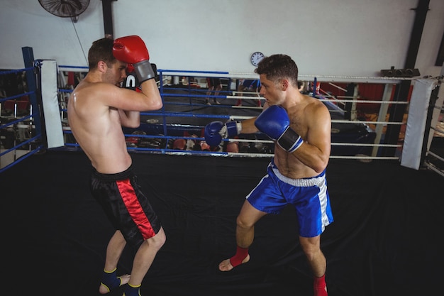 Pugilistas lutando no ringue de boxe