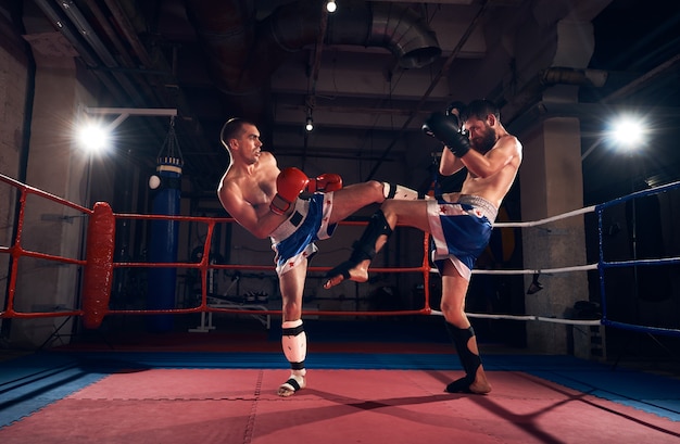 Pugilistas treinando kickboxing no ringue no health club