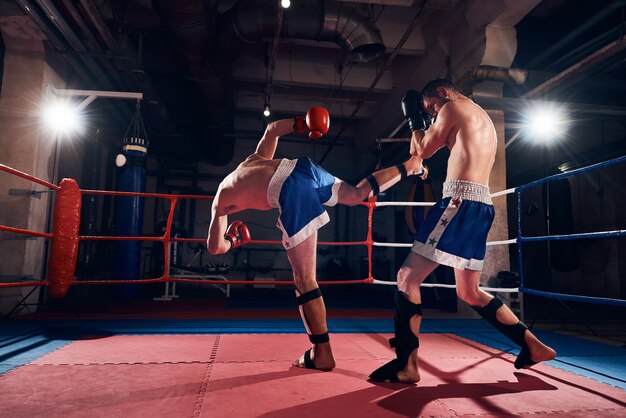 Pugilistas treinando kickboxing no ringue no health club