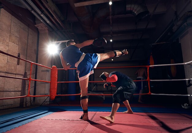 Pugilistas treinando kickboxing no ringue no health club