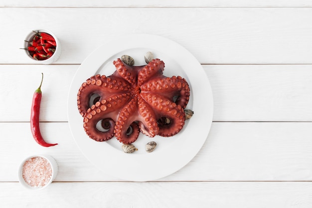 Pulpo crudo fresco entero en un plato blanco con espacio de copia de tentáculos