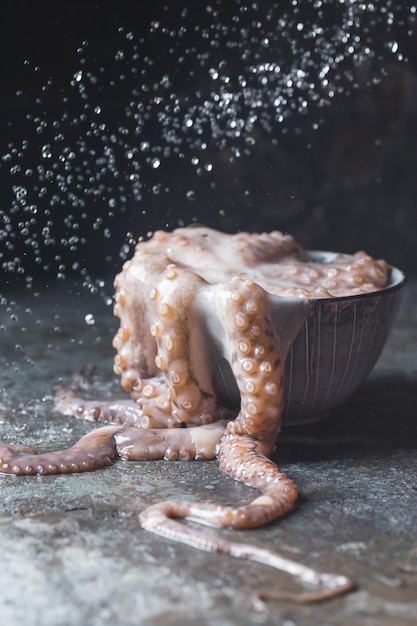 Pulpo crudo fresco en un grito sobre fondo de piedra oscura de cerca