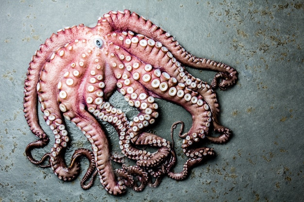 Pulpo entero fresco en pizarra gris