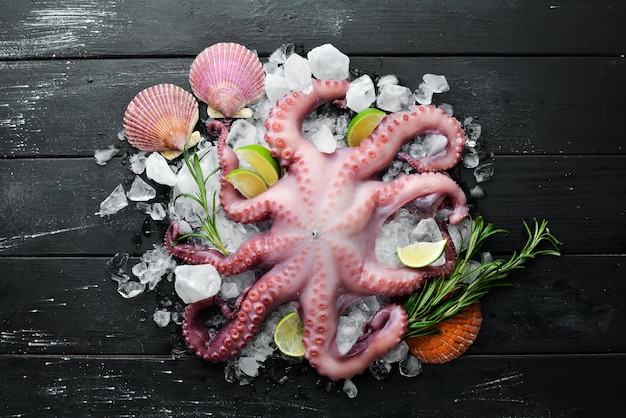 Pulpo en el hielo Sobre un fondo de piedra negra Vista superior Espacio de copia libre