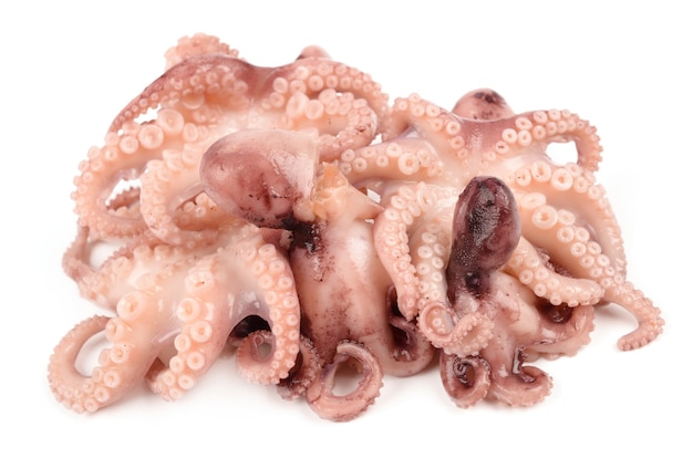 Pulpo