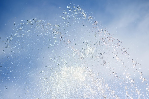 Pulverización de agua contra el fondo de los árboles