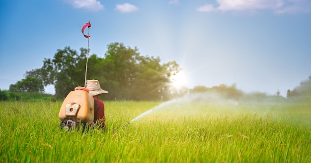 Pulverización de pesticidas en el campo de siembra de arroz