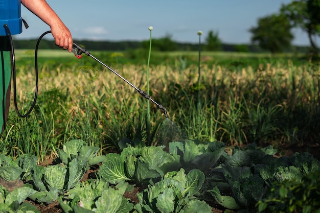 Pulverizador de haste de tubo telescópico venenos Agricultura jardinagem horta