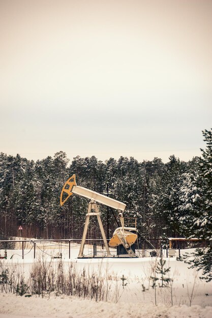 Pump jack no campo petrolífero situado na bela floresta de inverno. Poluição ambiental. Conceito de petróleo e gás.