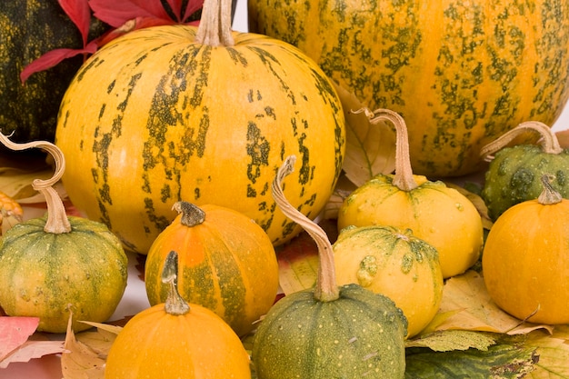 Pumpkins