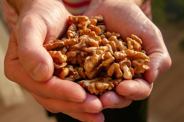 Foto un puñado de nueces en las manos de los hombres