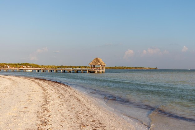 Punta Coco Holz Deck Pier führt in den Ozean In Holbox Quintana Roo Mexiko