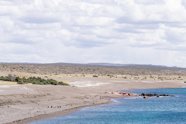 Punta Tombo Strand Tagesansicht Patagonien Argentinien