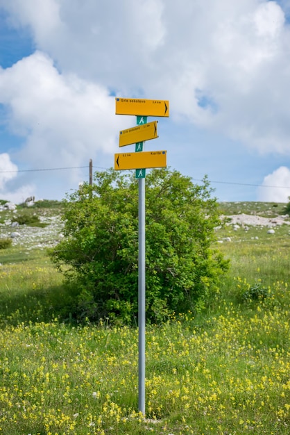 Un puntero amarillo indica la dirección de las rutas.