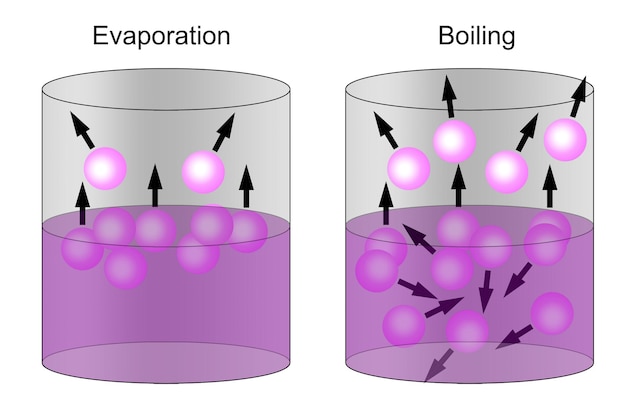 Punto de evaporación y ebullición de líquidos.