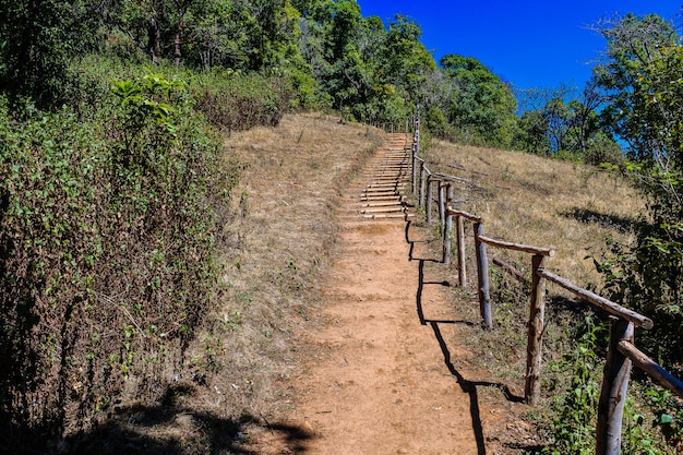 Foto punto de opinión del moutain de doi pui ko en mae hong son, tailandia.