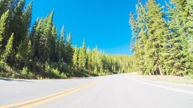 Punto de vista POV - Conducir en una carretera de montaña en verano.