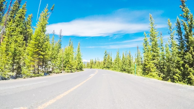 Punto de vista POV - Conducir en una carretera de montaña en verano.