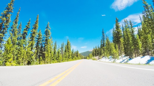 Punto de vista POV - Conducir en una carretera de montaña en verano.
