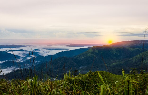 Foto punto de vista de