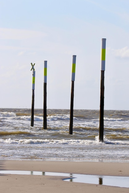 Puntos de madera en la playa contra el cielo