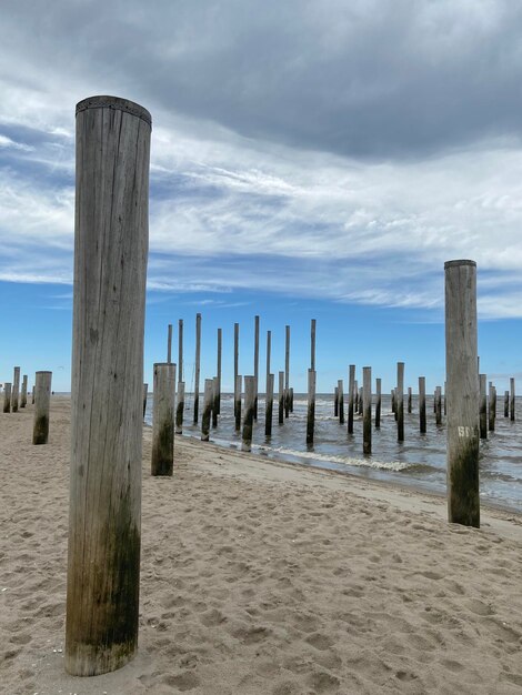 Puntos de madera en la playa contra el cielo