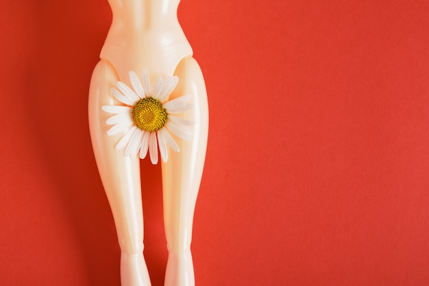 Puppe mit Kamillenblüte auf Hüften, Feminismuskunst, Frauengesundheit und Gnekologiekonzept mit rotem Hintergrundkopierraum
