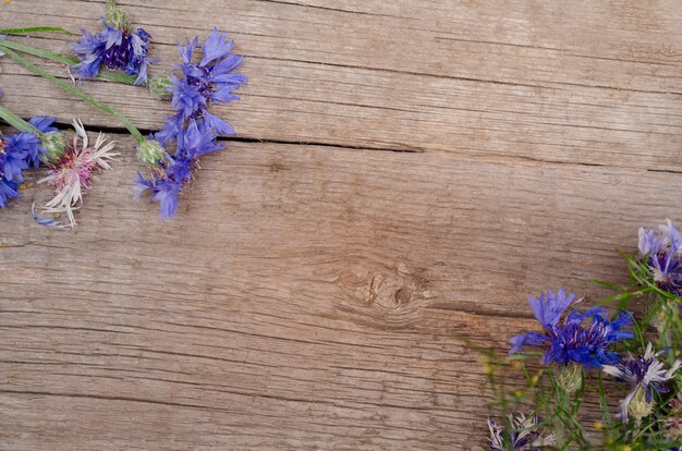 Purpurrote Blume auf Holztisch