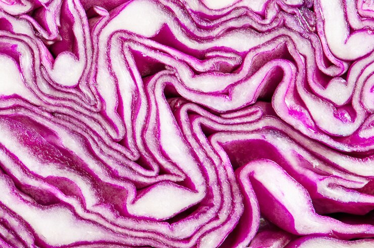 Foto purpurrote cabbge scheibe der nahaufnahme für hintergrund und beschaffenheit