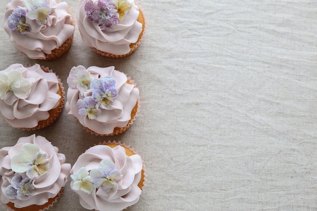 Purpurrote kleine Kuchen mit gezuckertem essbarem Blumenexemplarplatz