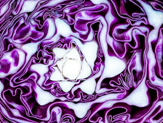 Purpurroter Blumenkohlgemüseschnitt des abstrakten Musters