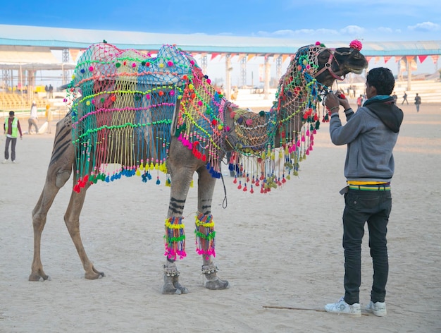 Pushkar Rajasthan Índia 22 de novembro de 2015 Homem decorando o camelo com ornamentos coloridos