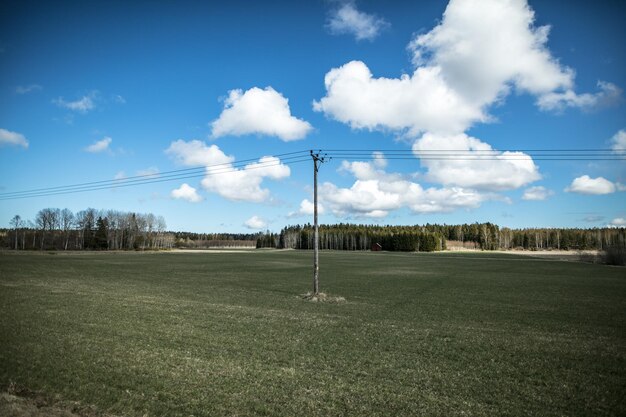 Pylón de electricidad en un campo de hierba contra el cielo