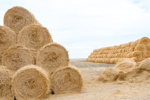 Pyramide von eng verdrehten Stapeln goldenen Heus am Ende des Sommers mit Platz Landwirtschaftskonzept