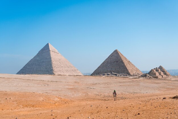 Pyramiden mit einem Kamel zu Fuß in der Wüste von El Cairo Ägypten