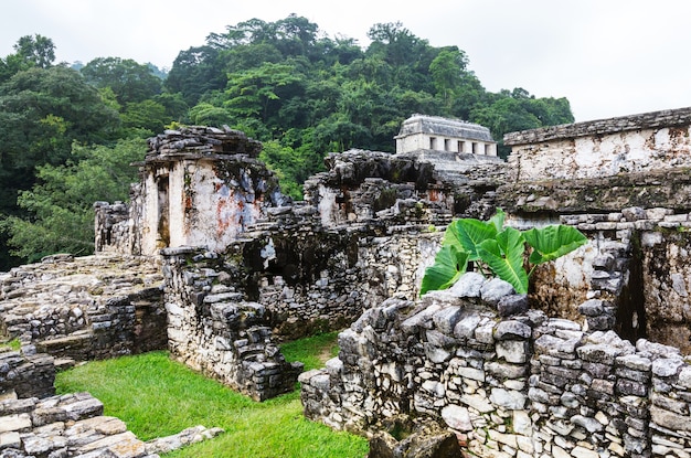 Pyramidenbau an der archäologischen Stätte der Maya