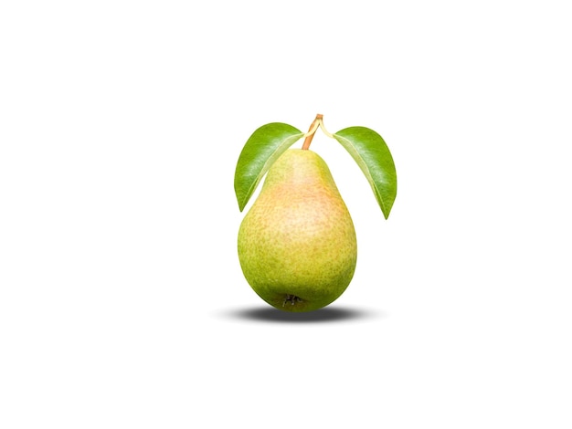 Pyrus communis o pera común es una de las frutas más importantes de las regiones templadas