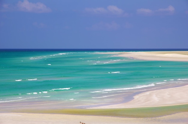Foto qalansiyah beach insel sokotra indischer ozean jemen