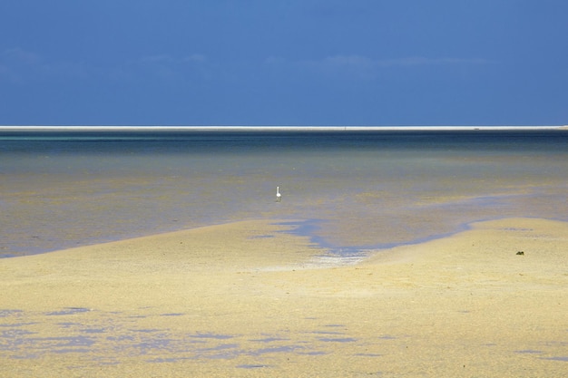 Qalansiyah Beach Insel Sokotra Indischer Ozean Jemen