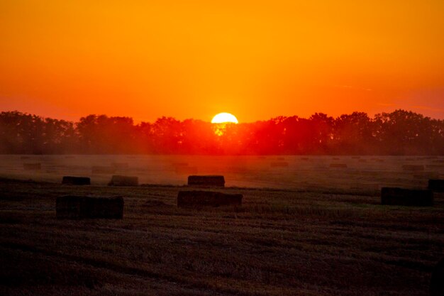 Foto quadratische ballen von gepressten trockenen weizenstroh auf dem feld nach der ernte sommer sonniger sonnenuntergang morgengrauen feldballen