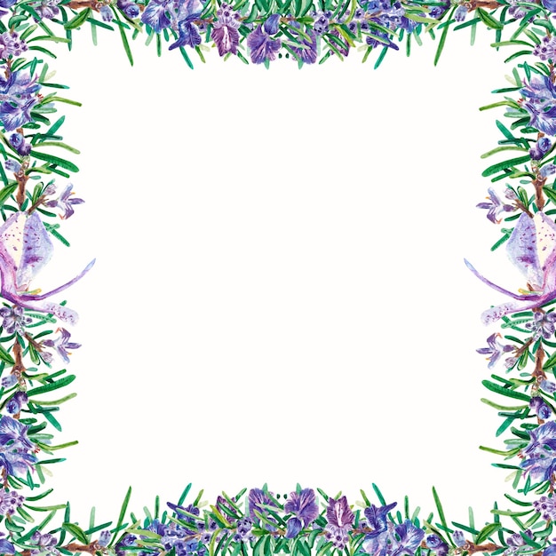 Quadratischer Rahmen des Aquarells mit purpurroten Blumen auf einem weißen Hintergrund für Designpostkarteneinladungen