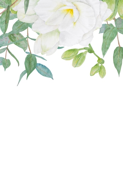 Quadro aquarela de flores brancas de frésia e ramos de eucalipto desenhados à mão ilustração floral para
