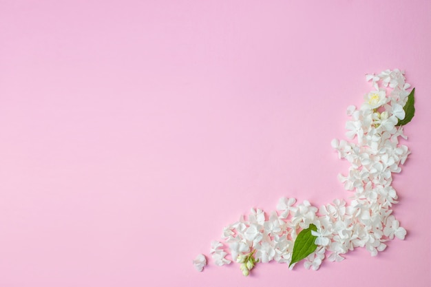 Quadro branco em branco, pétalas para spa ou maquete de casamento na vista superior de fundo rosa. Lindo